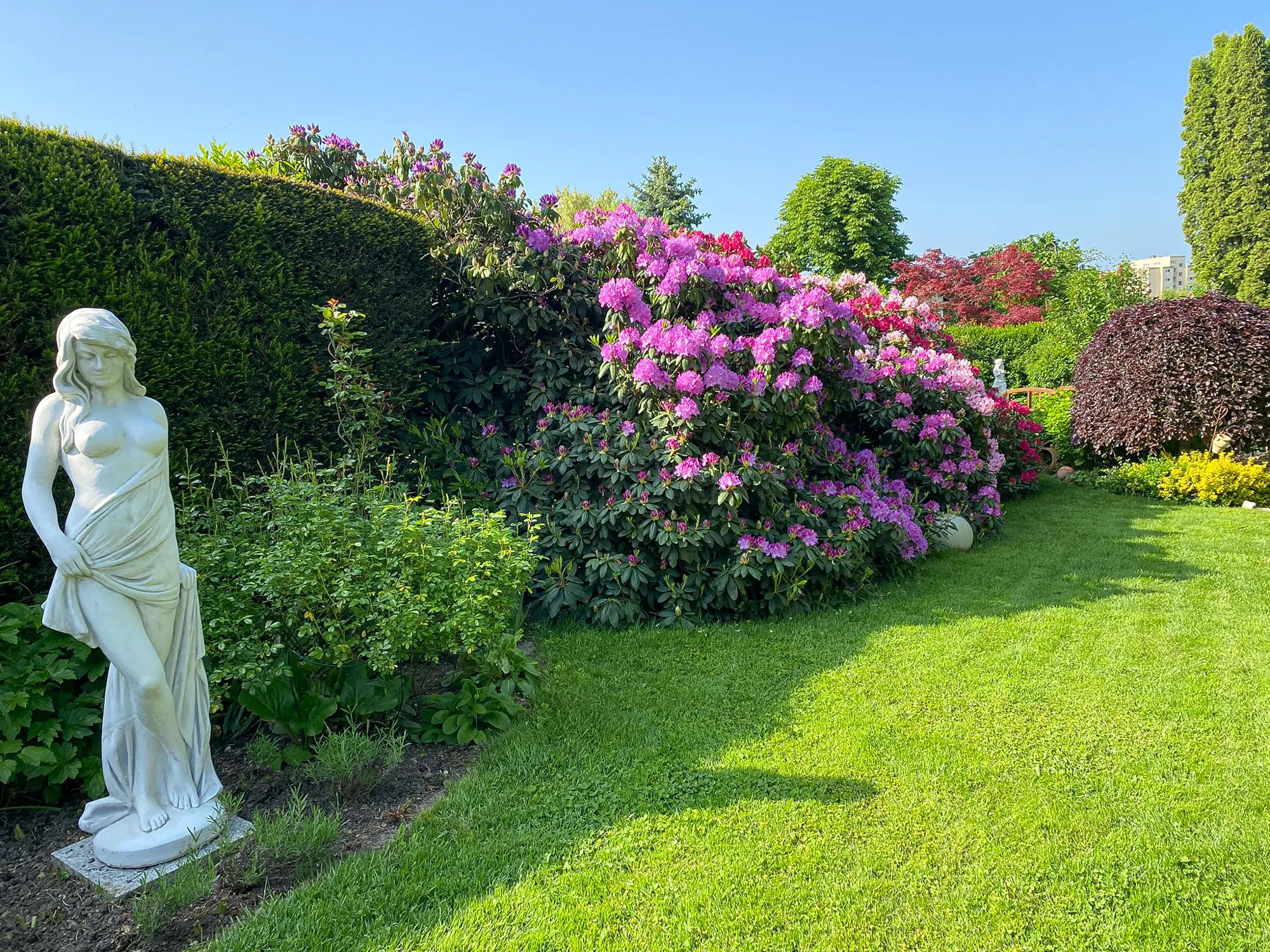 Statue vor blühender Rhododendron-Hecke